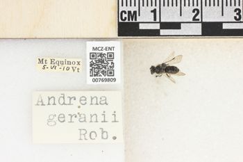Media type: image;   Entomology 769809 Aspect: Labels